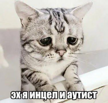 чуток blackpill