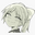Renion